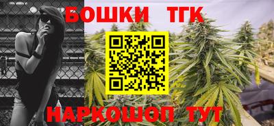 тгк Гай